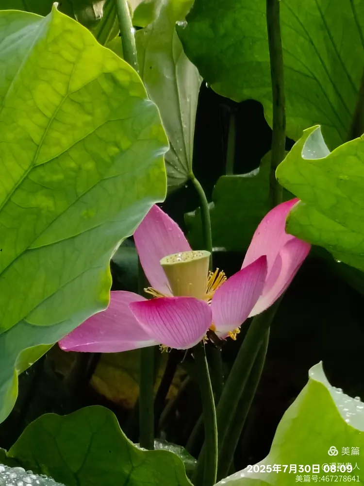 爱游戏体育-Aづ?蠙菏7?
